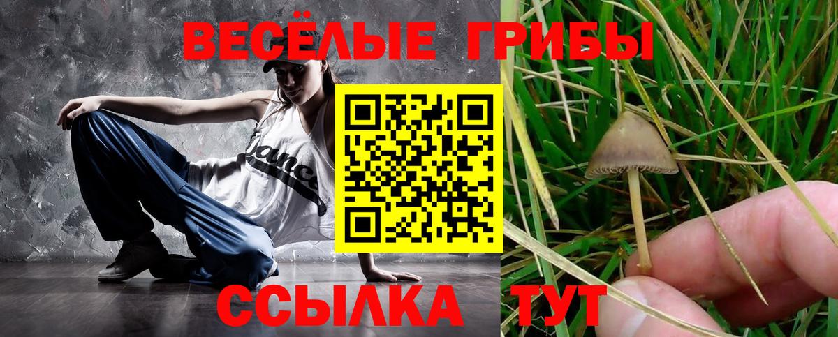 Псилоцибиновые грибы MAGIC MUSHROOMS Партизанск